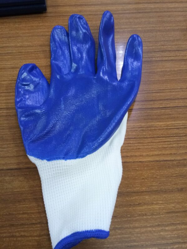 White Blue Gloves